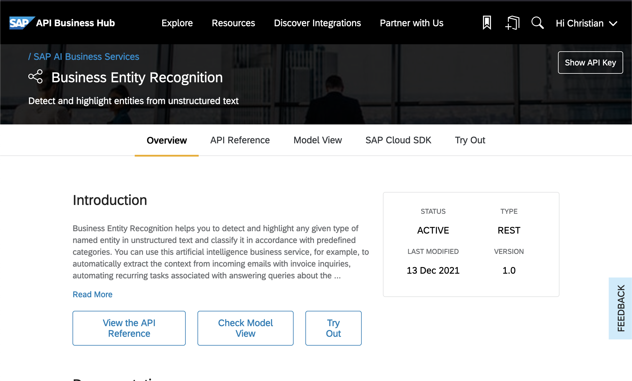 Overview of the Business Entity Recognition Service