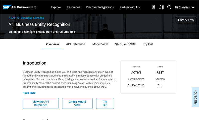 Overview of the Business Entity Recognition Service